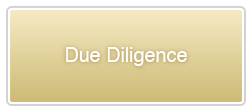 Due Diligence