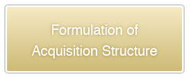 Formulation of Acquisition Structure